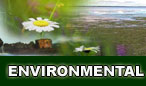 Environmental Management Consultants